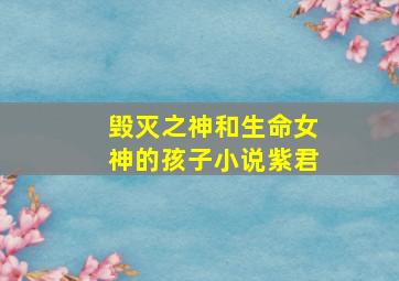 毁灭之神和生命女神的孩子小说紫君