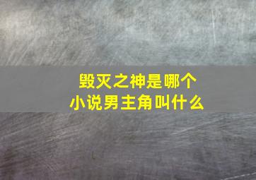 毁灭之神是哪个小说男主角叫什么