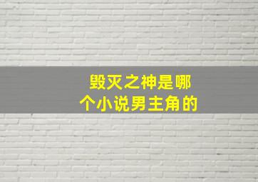 毁灭之神是哪个小说男主角的