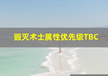 毁灭术士属性优先级TBC