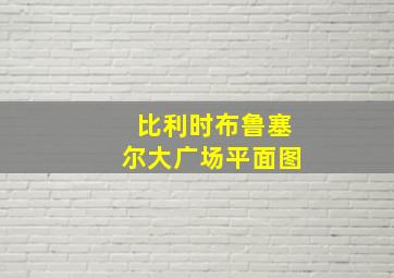 比利时布鲁塞尔大广场平面图