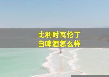 比利时瓦伦丁白啤酒怎么样