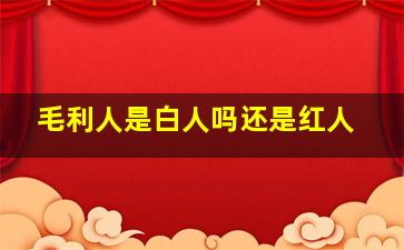 毛利人是白人吗还是红人