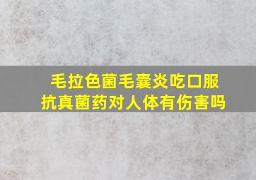 毛拉色菌毛囊炎吃口服抗真菌药对人体有伤害吗