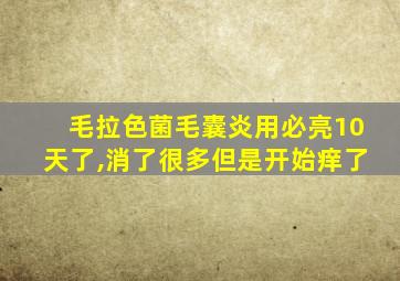 毛拉色菌毛囊炎用必亮10天了,消了很多但是开始痒了