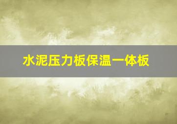 水泥压力板保温一体板