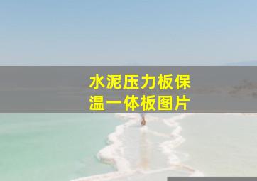 水泥压力板保温一体板图片