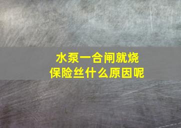 水泵一合闸就烧保险丝什么原因呢