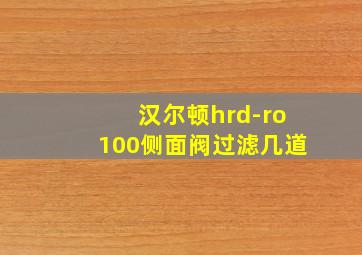 汉尔顿hrd-ro100侧面阀过滤几道