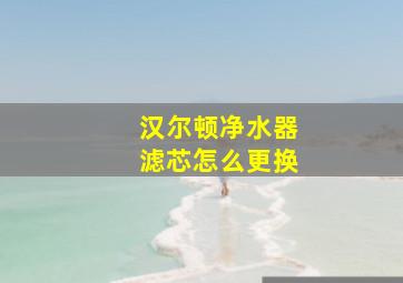 汉尔顿净水器滤芯怎么更换