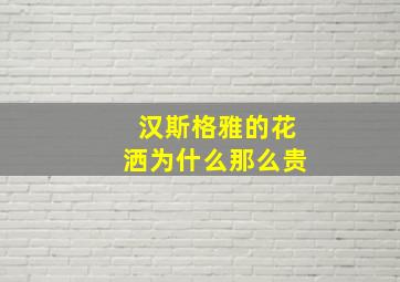 汉斯格雅的花洒为什么那么贵