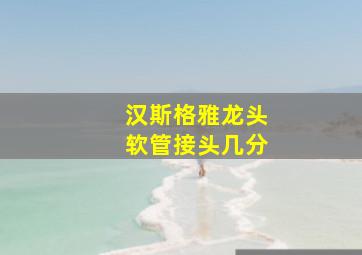 汉斯格雅龙头软管接头几分