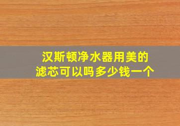 汉斯顿净水器用美的滤芯可以吗多少钱一个