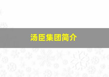 汤臣集团简介