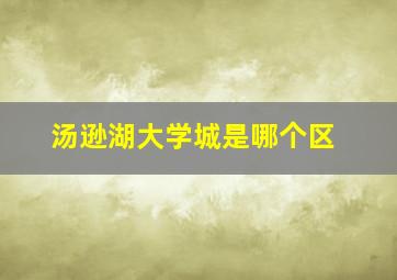 汤逊湖大学城是哪个区