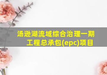 汤逊湖流域综合治理一期工程总承包(epc)项目