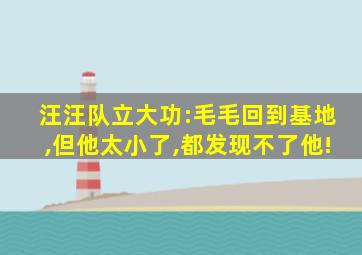 汪汪队立大功:毛毛回到基地,但他太小了,都发现不了他!