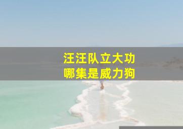 汪汪队立大功哪集是威力狗