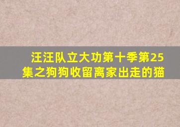 汪汪队立大功第十季第25集之狗狗收留离家出走的猫