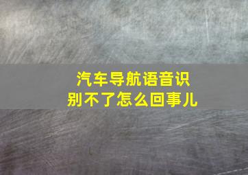 汽车导航语音识别不了怎么回事儿