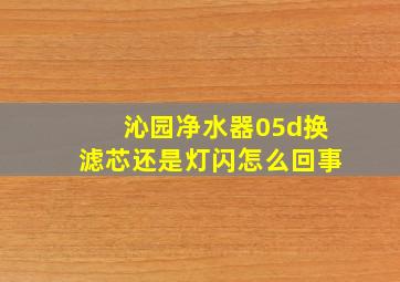 沁园净水器05d换滤芯还是灯闪怎么回事