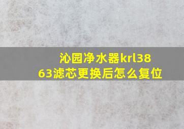 沁园净水器krl3863滤芯更换后怎么复位