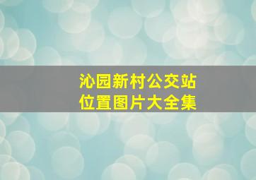 沁园新村公交站位置图片大全集