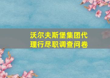 沃尔夫斯堡集团代理行尽职调查问卷