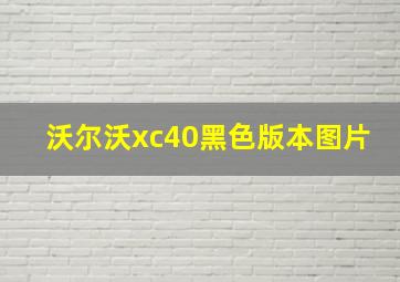 沃尔沃xc40黑色版本图片