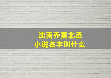 沈南乔莫北丞小说名字叫什么