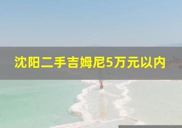 沈阳二手吉姆尼5万元以内