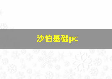 沙伯基础pc