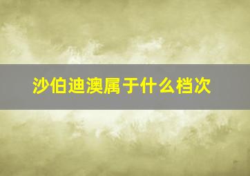 沙伯迪澳属于什么档次