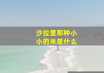 沙拉里那种小小的米是什么