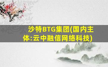 沙特BTG集团(国内主体:云中融信网络科技)