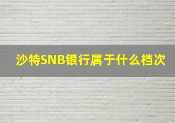 沙特SNB银行属于什么档次