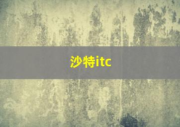 沙特itc