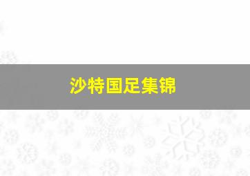 沙特国足集锦