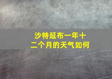 沙特延布一年十二个月的天气如何