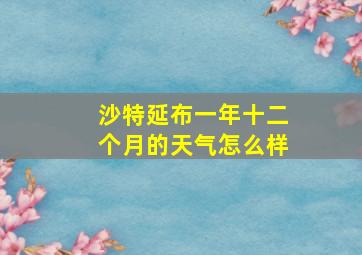 沙特延布一年十二个月的天气怎么样