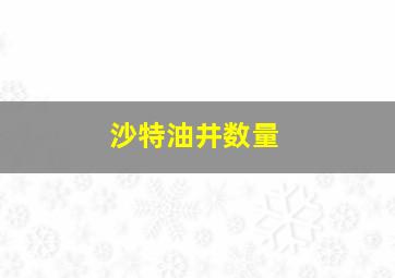 沙特油井数量