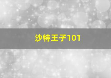 沙特王子101