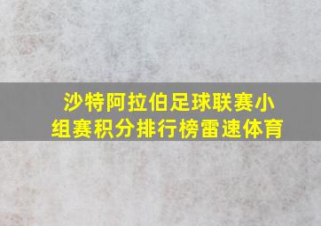 沙特阿拉伯足球联赛小组赛积分排行榜雷速体育