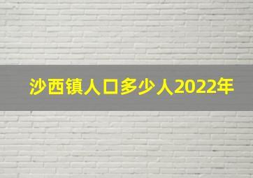 沙西镇人口多少人2022年