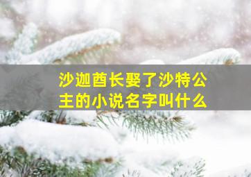 沙迦酋长娶了沙特公主的小说名字叫什么