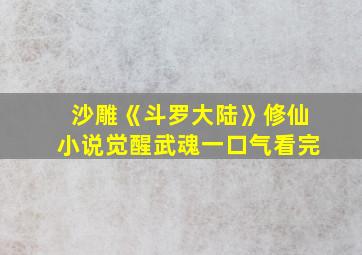 沙雕《斗罗大陆》修仙小说觉醒武魂一口气看完