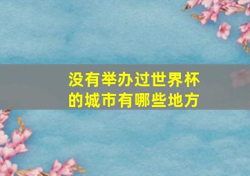 没有举办过世界杯的城市有哪些地方