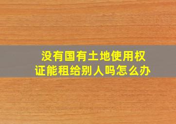 没有国有土地使用权证能租给别人吗怎么办