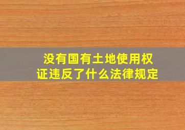 没有国有土地使用权证违反了什么法律规定