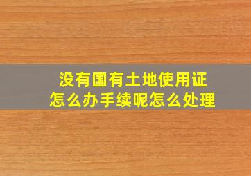 没有国有土地使用证怎么办手续呢怎么处理